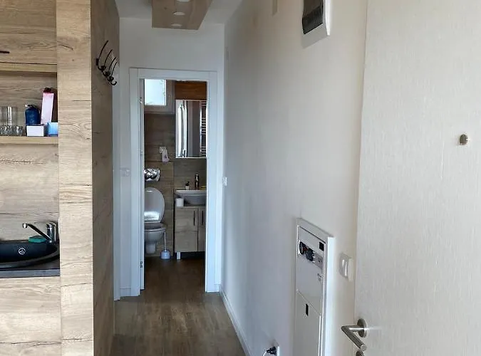 Silver Hill * Kopaonik